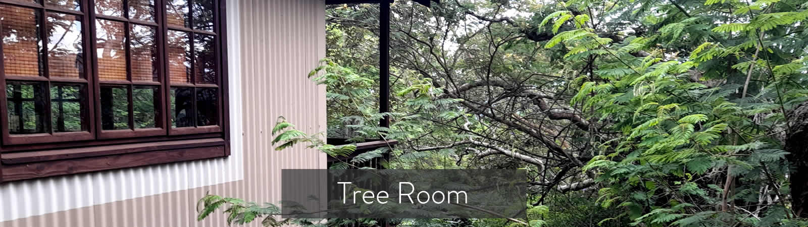 Executive self catering accommodation in Nelspruit