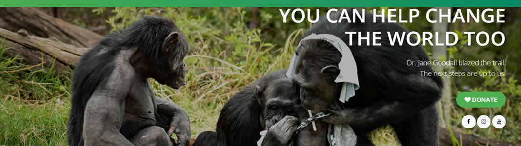Chimp Eden