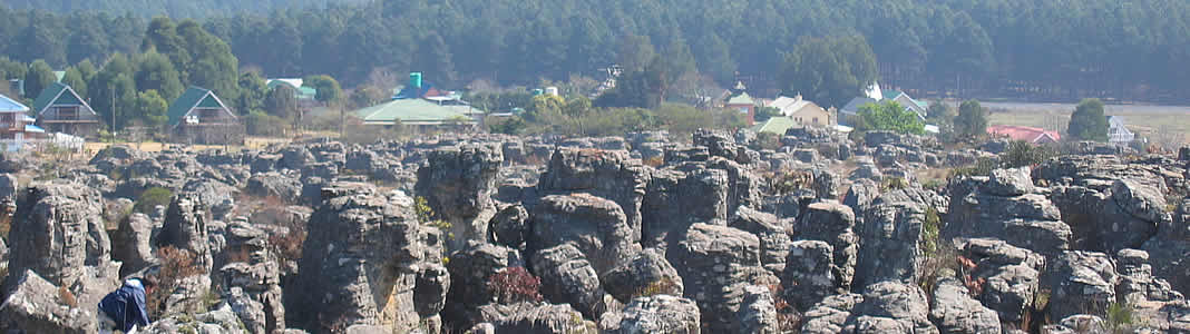 Kaapse Hoop  Mpumalanga